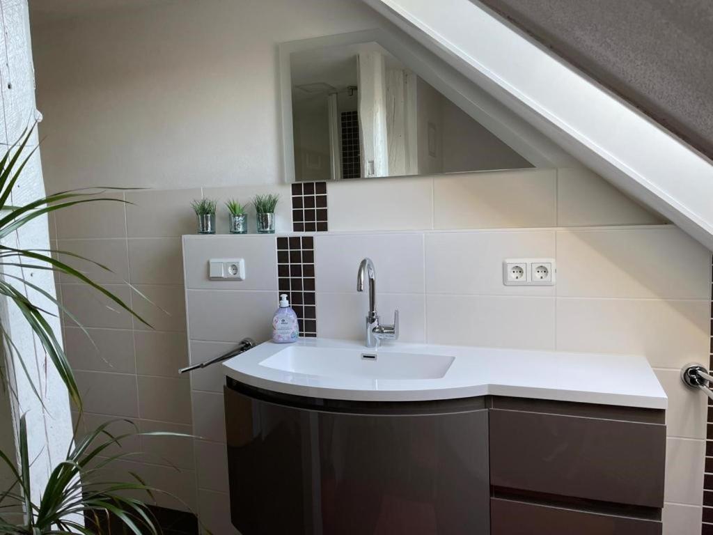 Ferienwohnung Kreft Thale Ngoại thất bức ảnh
